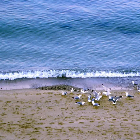 Morski Briag Golden Sands