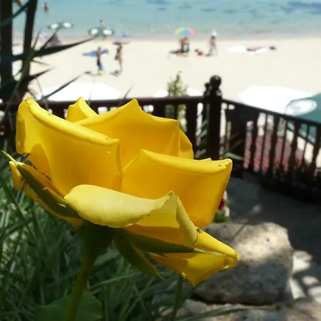 Hotel Morski Briag Golden Sands