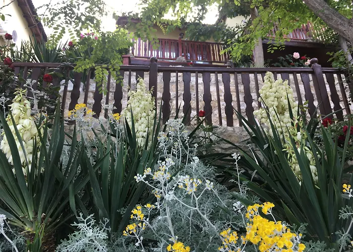 ホテル Morski Briag