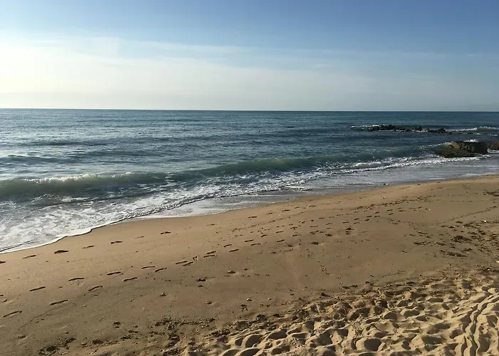 ホテル Morski Briag