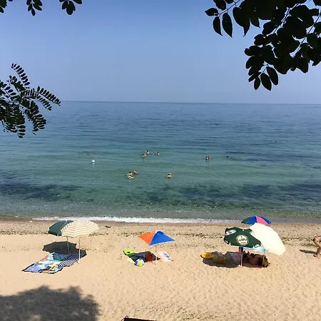 莫尔斯基布里亚格酒店 金沙