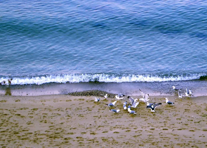 Morski Briag Golden Sands