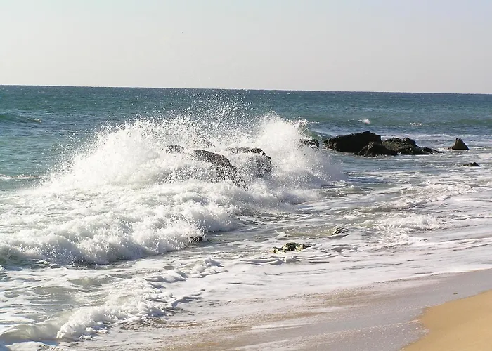 Morski Briag מלון